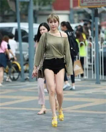 海棠搜书父子