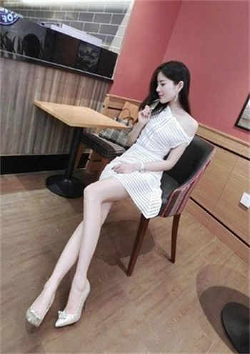 萌犬一只16v在线